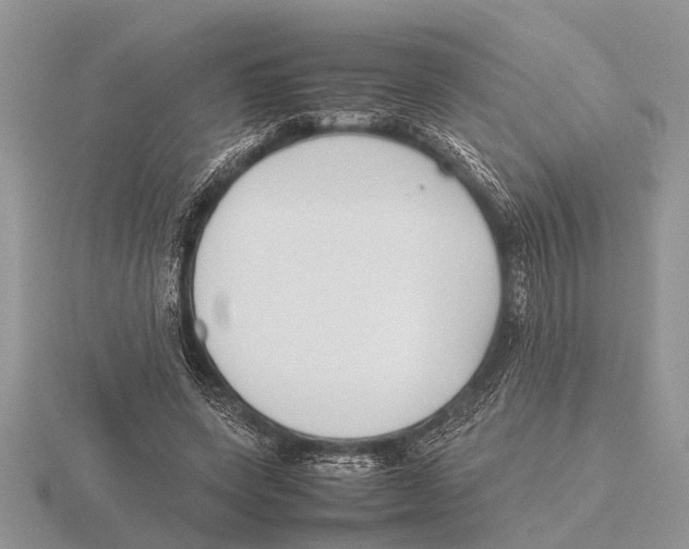 X0000115740543200912101317