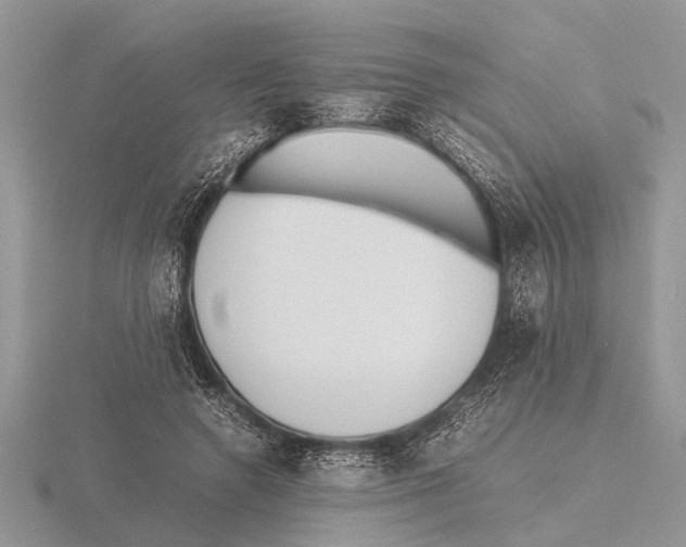 X0000115740546200912101317