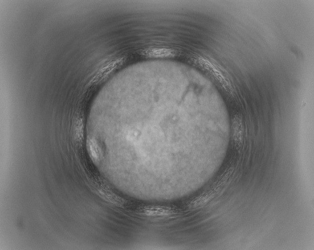 X0000115740549200912101317