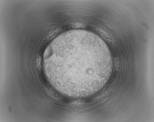 X0000115740550200912101317