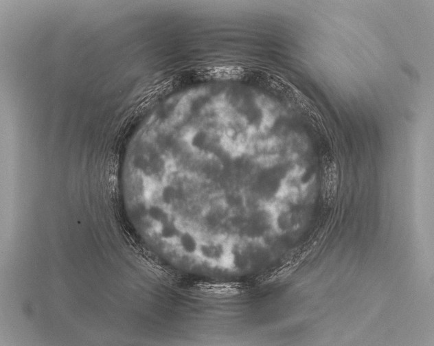 X0000115740553200912101317