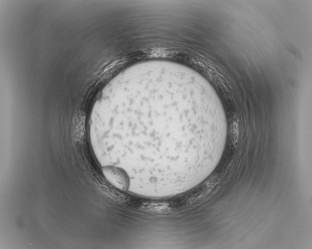 X0000115740554200912101317