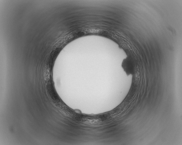 X0000115740555200912101317