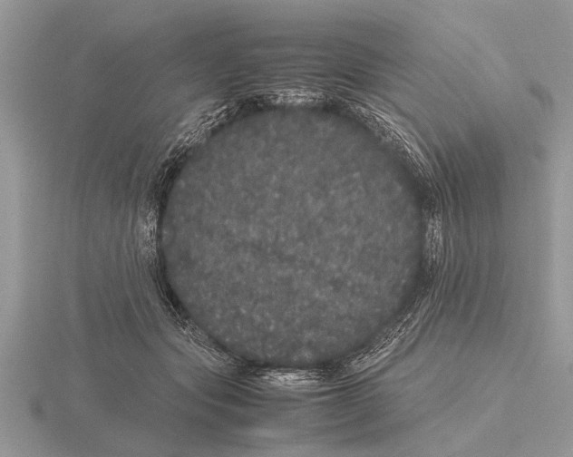 X0000115740557200912101317