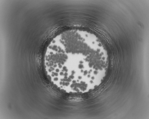 X0000115740559200912101317