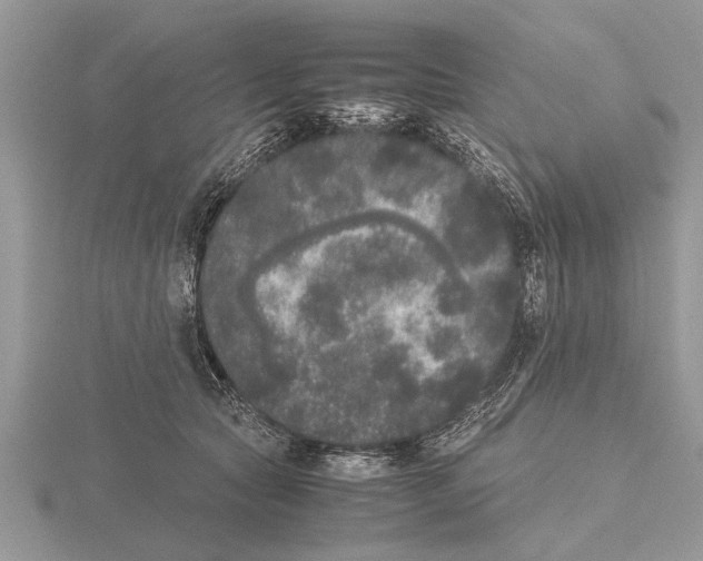 X0000115740561200912101317