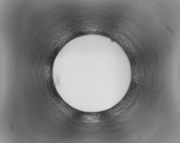 X0000115740563200912101317