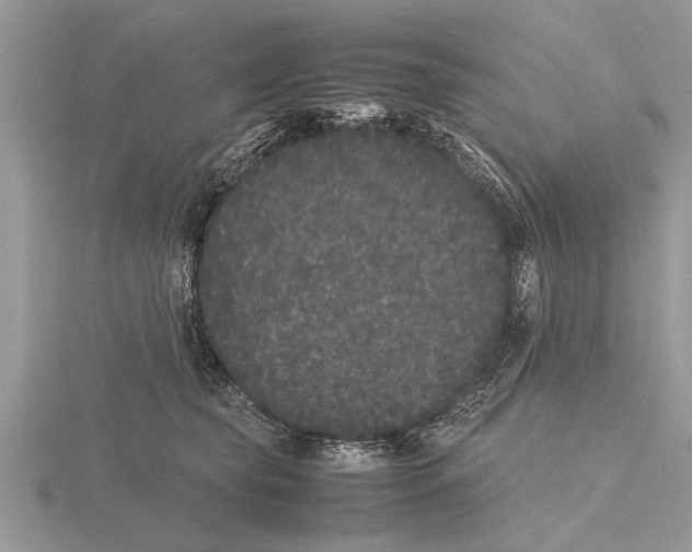 X0000115740565200912101317