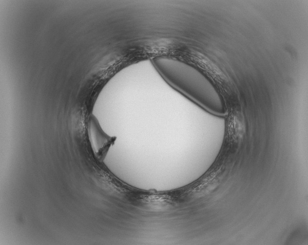 X0000115740566200912101317