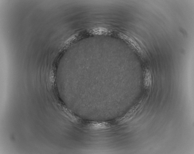 X0000115740569200912101317