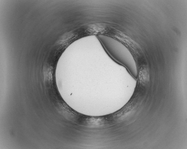 X0000115740570200912101317