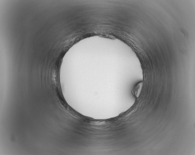 X0000115740575200912101317