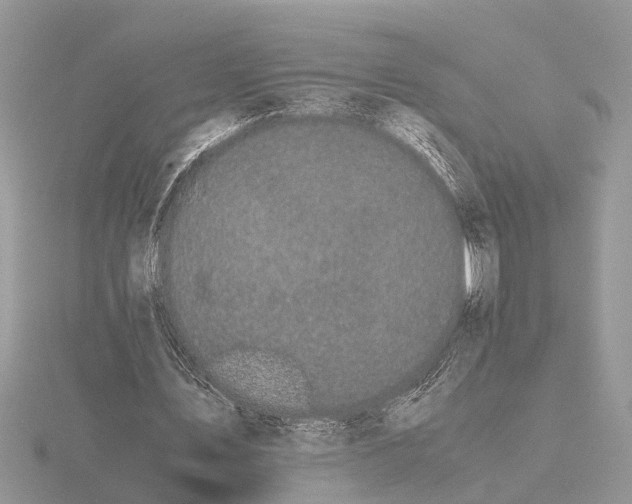 X0000115740579200912101316