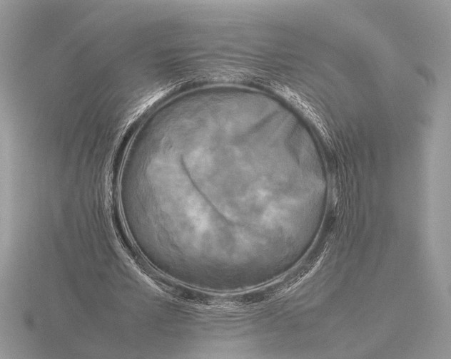 X0000115740581200912101316