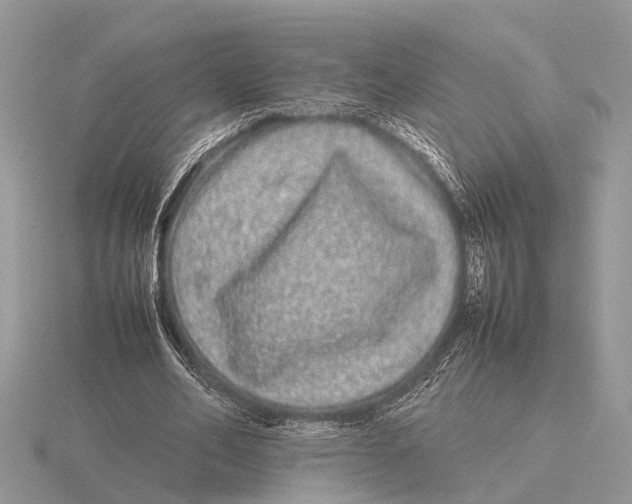 X0000115740582200912101316