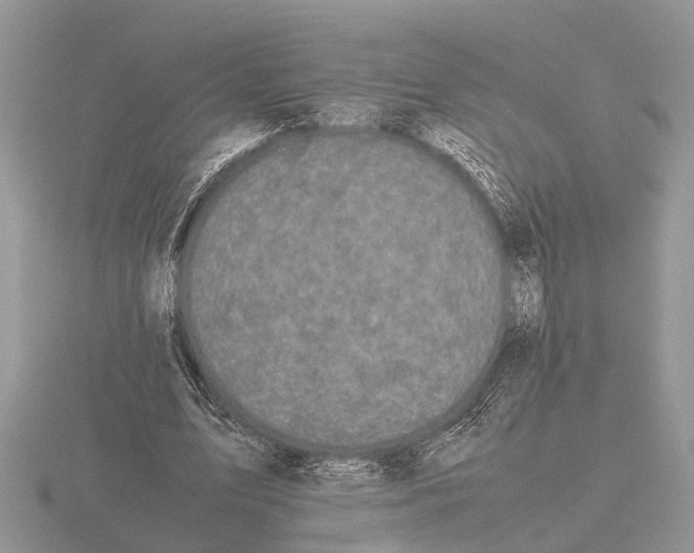 X0000115740583200912101316