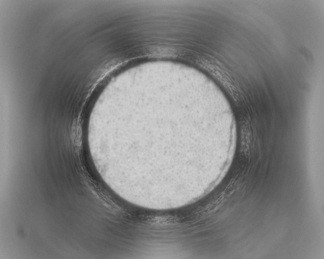 X0000115740584200912101316