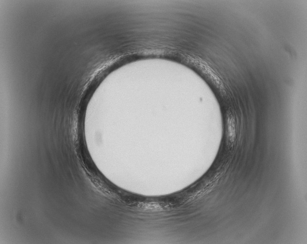 X0000115740588200912101316