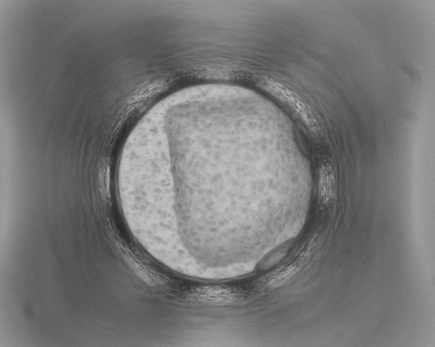 X0000115740589200912101316