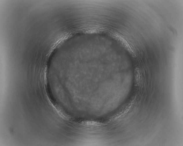 X0000115740590200912101316