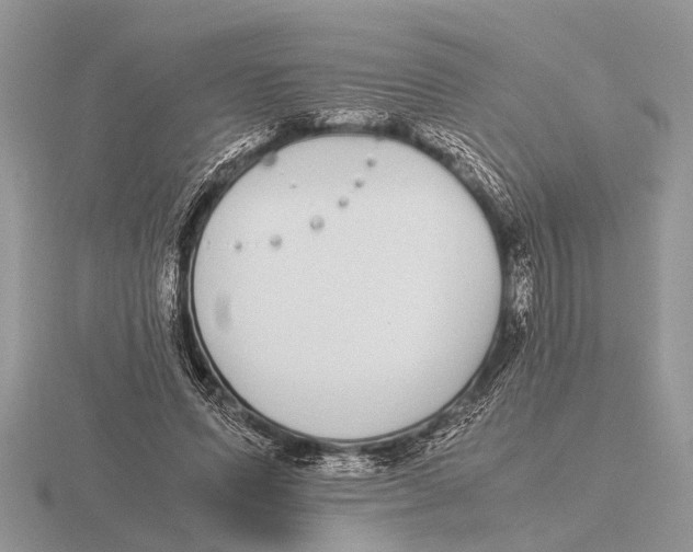 X0000115740591200912101316