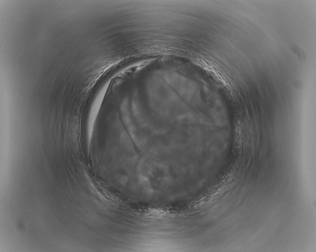 X0000115740592200912101316