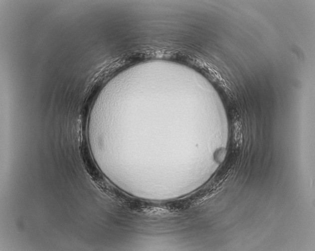 X0000115740594200912101316