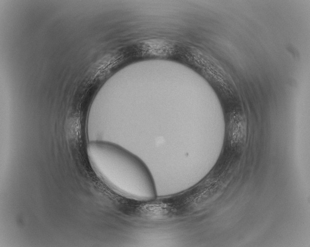 X0000115740595200912101316