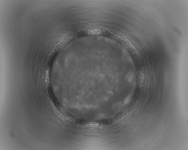 X0000115740598200912101316