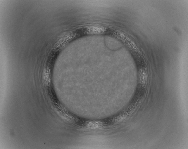 X0000115740599200912101316