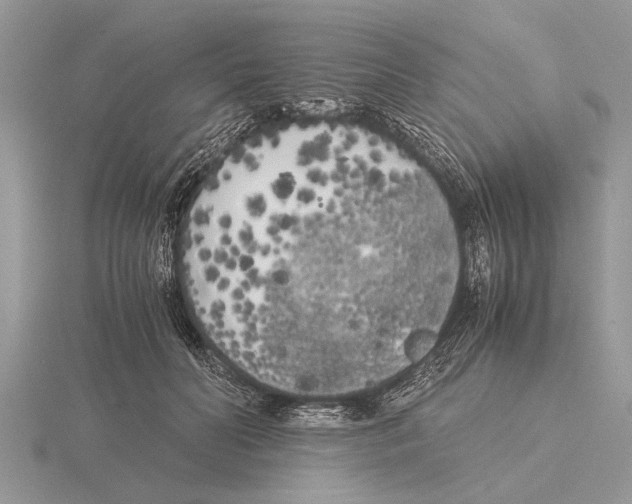 X0000115740606200912101316