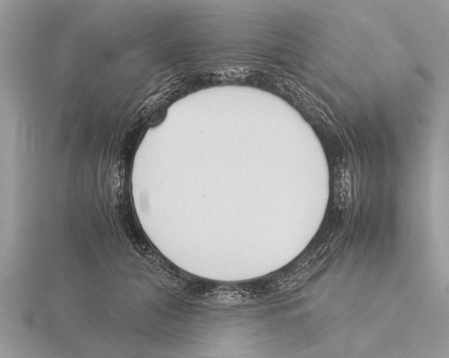 X0000115740608200912101316