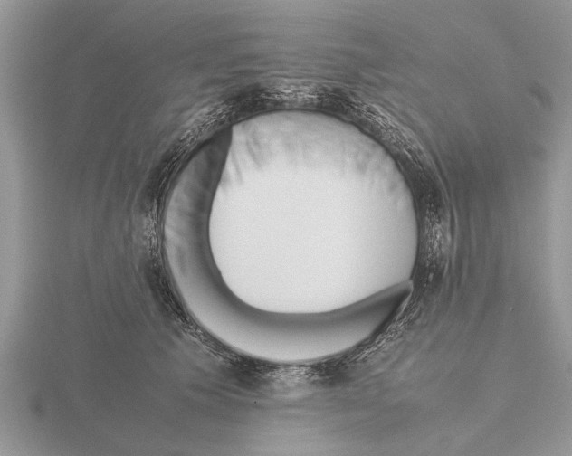 X0000115740609200912101316