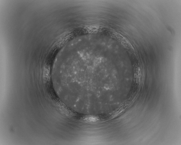 X0000115740610200912101316