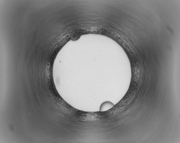 X0000115740612200912101316