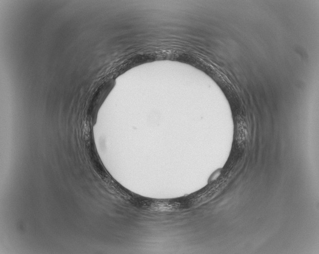 X0000115740613200912101316