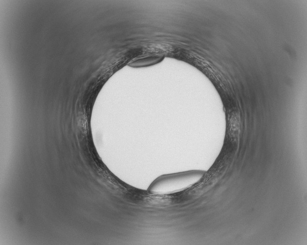 X0000115740617200912101316