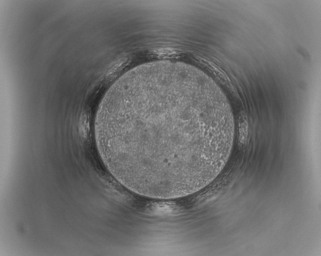 X0000115740618200912101316