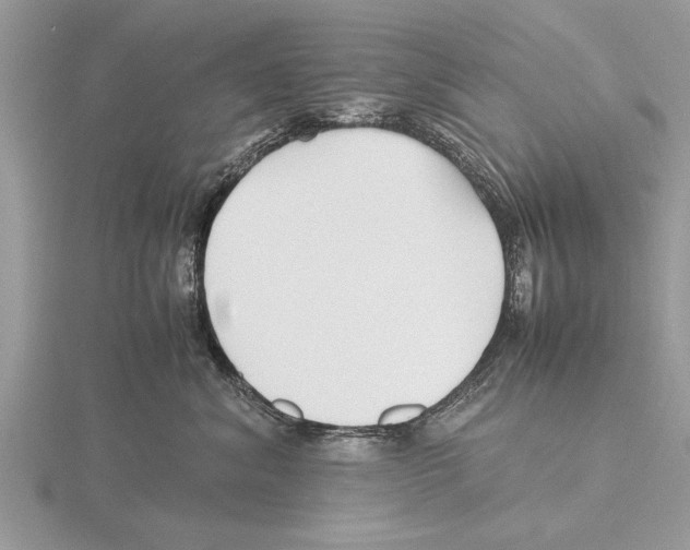 X0000115740620200912101316