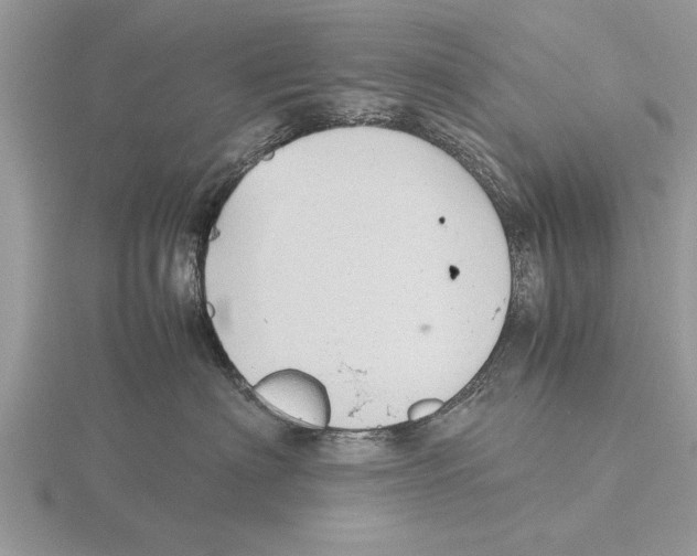 X0000115740622200912101316