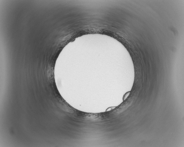 X0000115740624200912101316