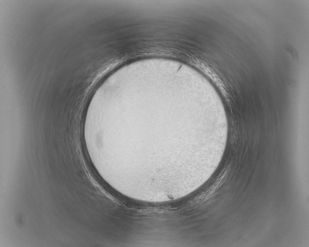 X0000115740625200912101315