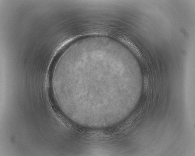 X0000115740628200912101315