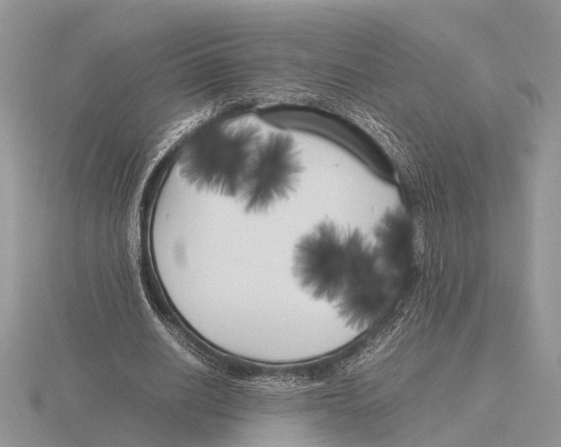 X0000115740630200912101315