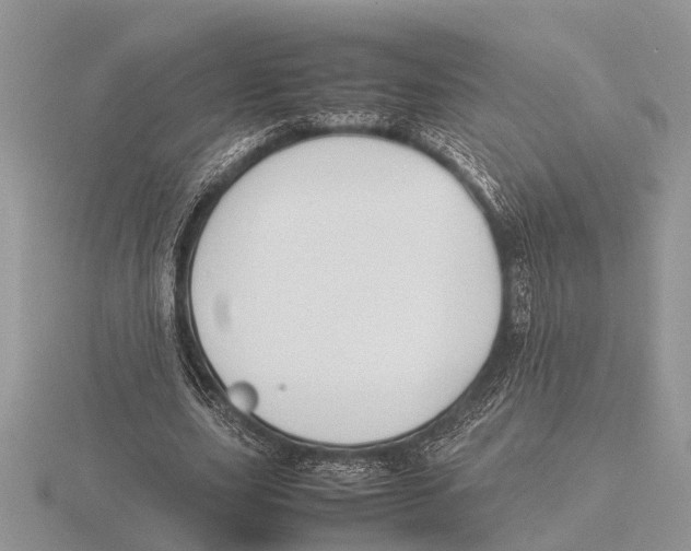 X0000115740631200912101315