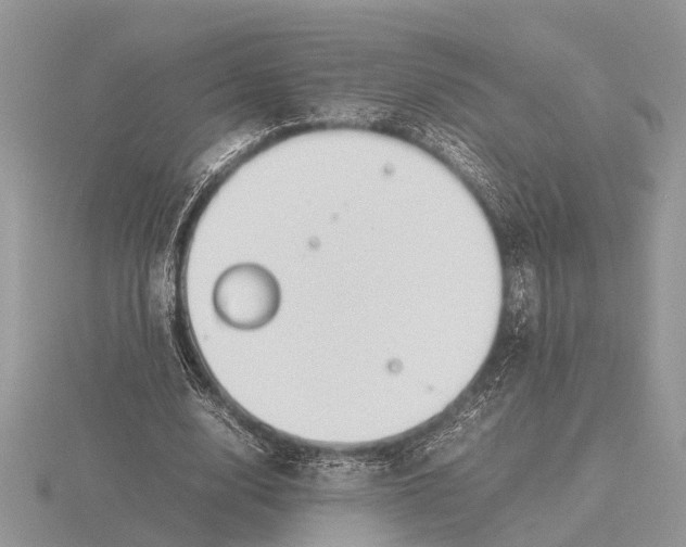 X0000115740632200912101315