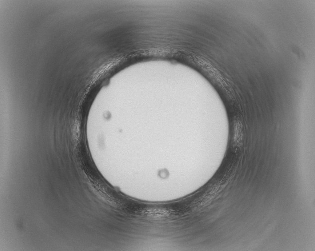 X0000115740636200912101315