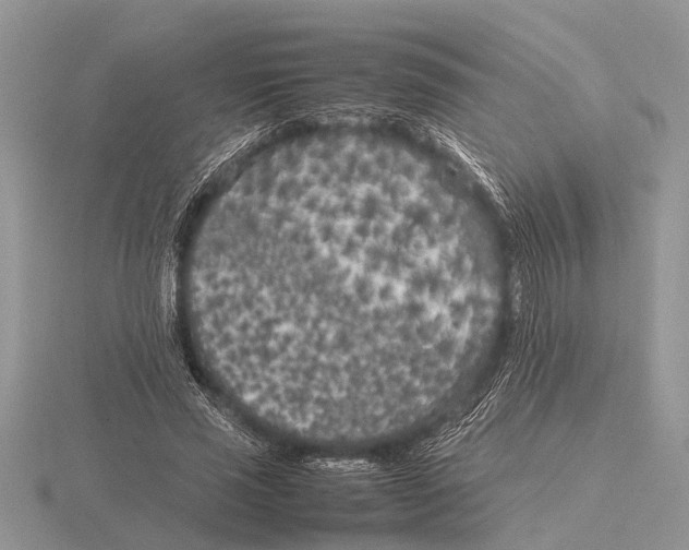 X0000115740637200912101315