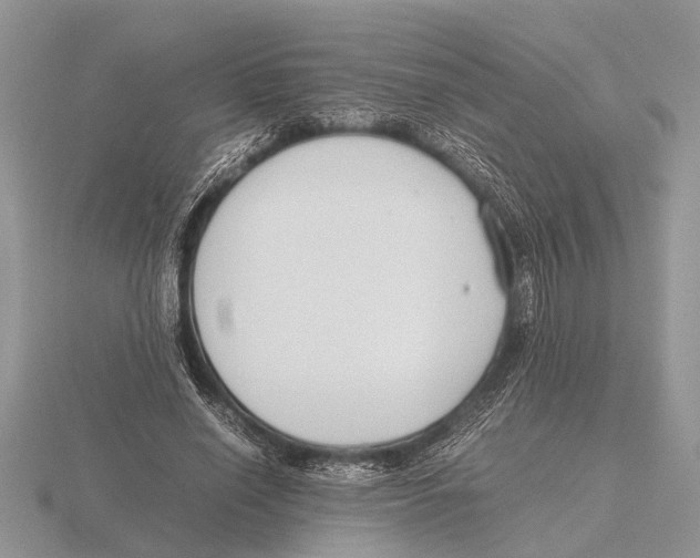 X0000115740638200912101315