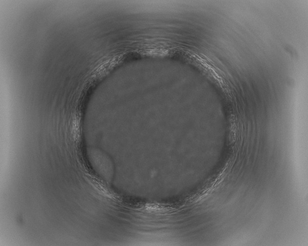 X0000115740641200912101315